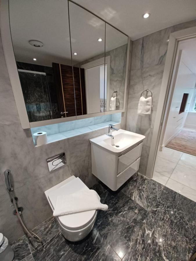 Buckingham Palace Residences By Aeria Apartments لندن المظهر الخارجي الصورة